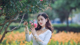 赛罗奥特曼国语大电影[正片]电影海报